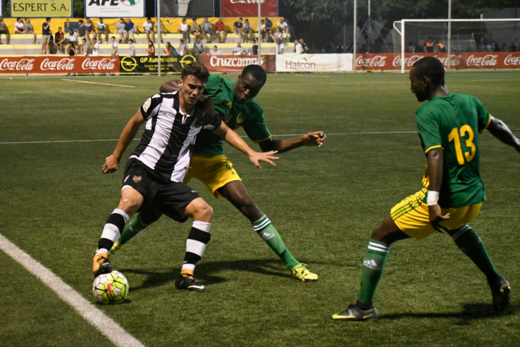 Cotif Alcudia