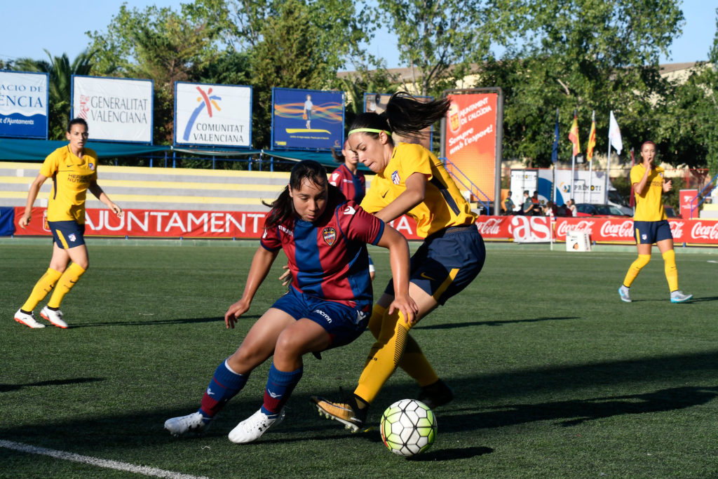 Cotif Alcudia