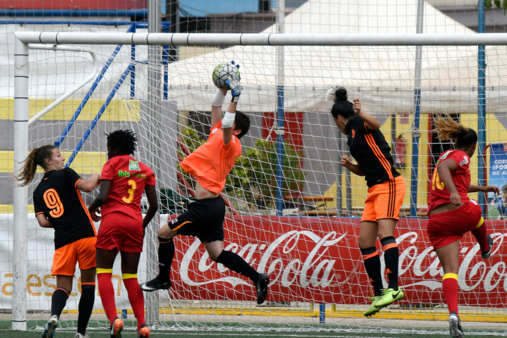Cotif Alcudia