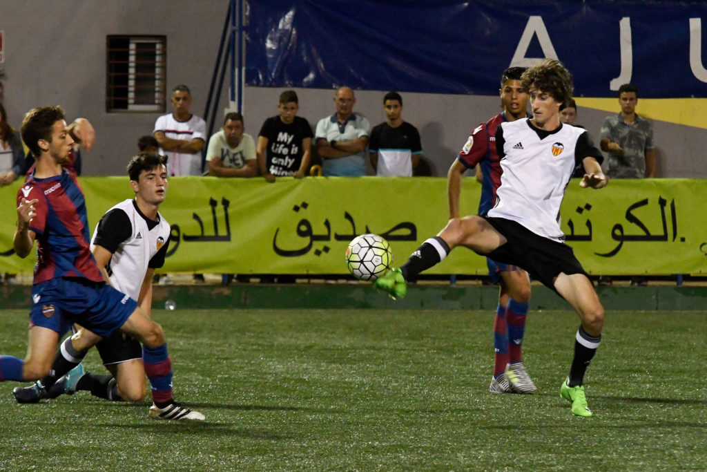 Cotif Alcudia