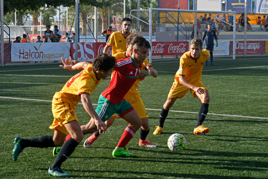 Cotif Alcudia