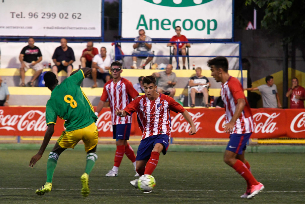 Cotif Alcudia