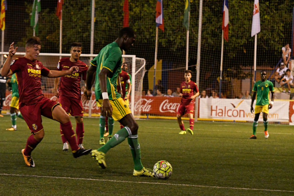 Cotif Alcudia