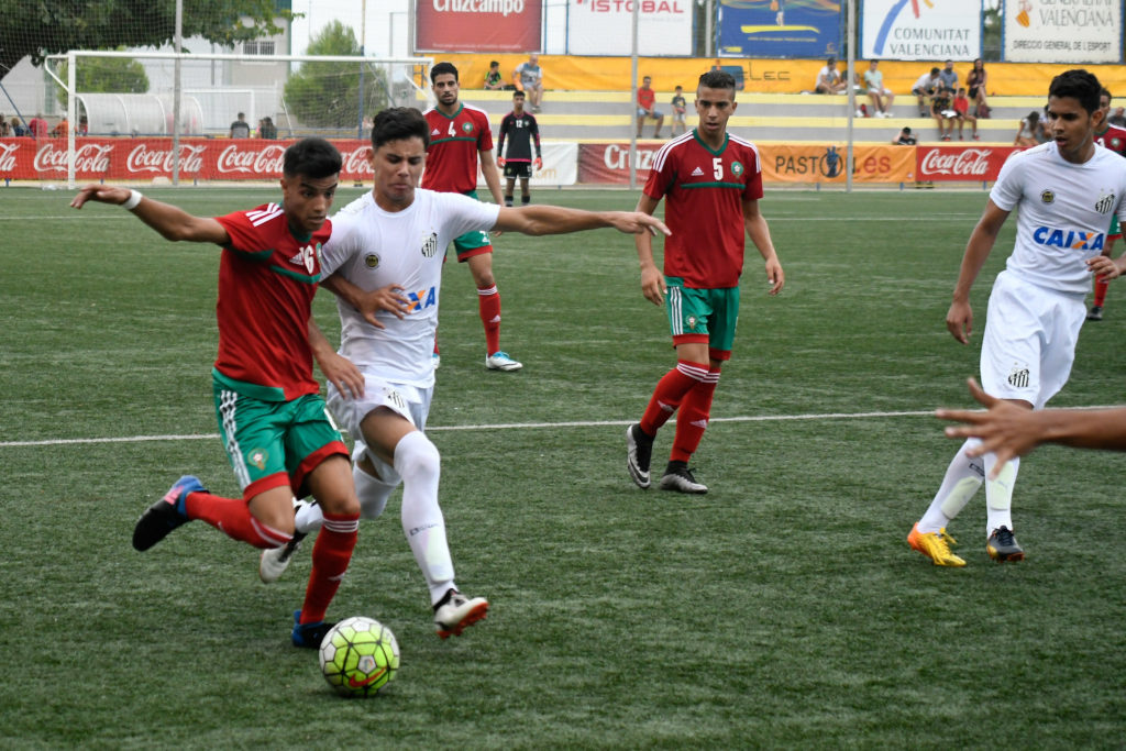Cotif Alcudia