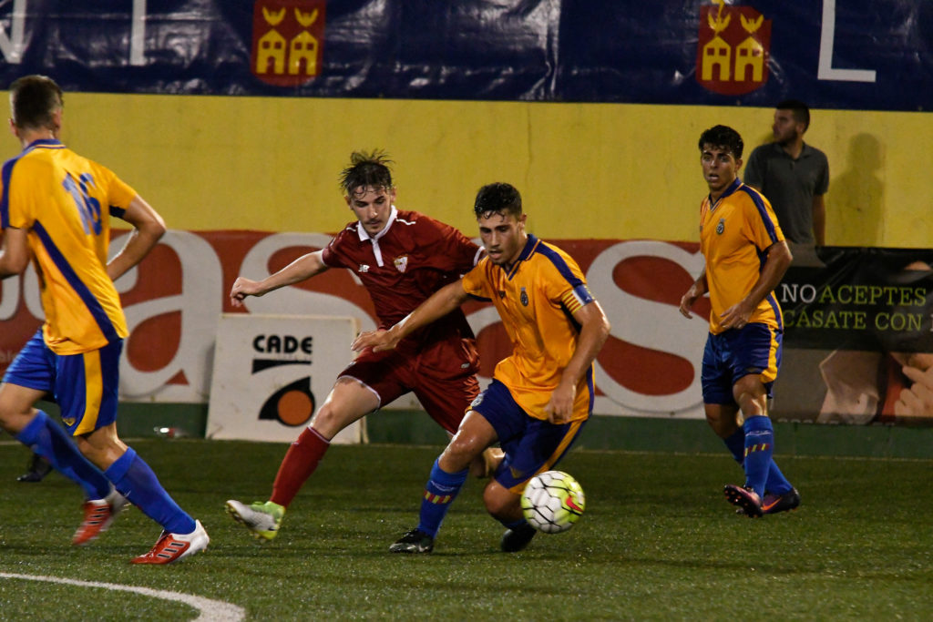 Cotif Alcudia