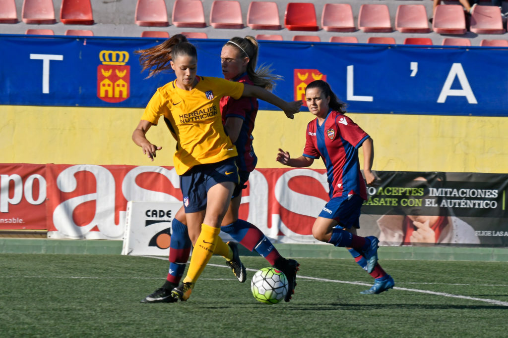 Cotif Alcudia