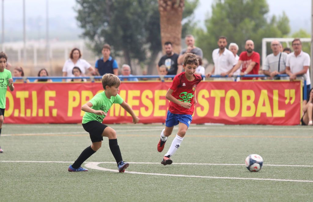 Cotif Alcudia