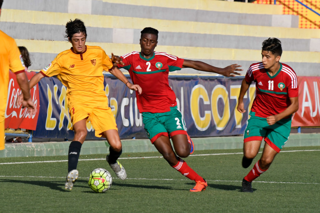 Cotif Alcudia