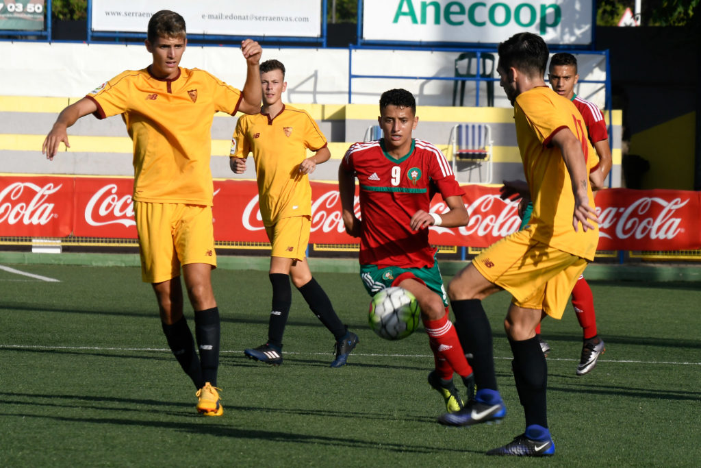 Cotif Alcudia