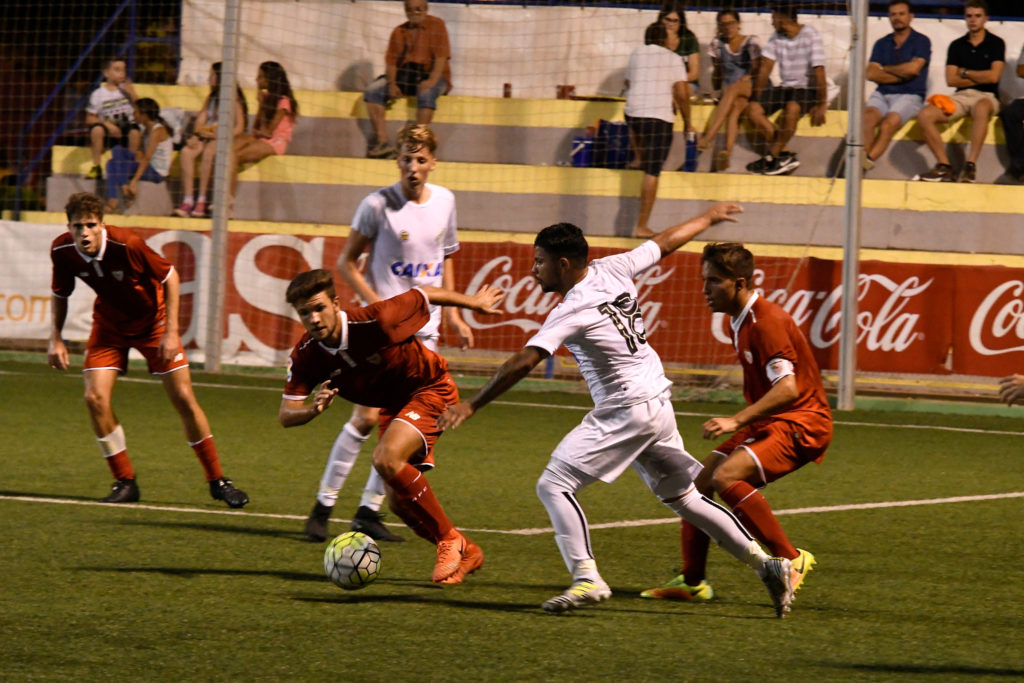 Cotif Alcudia