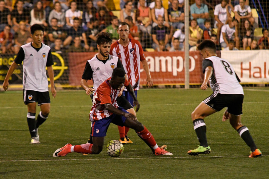 Cotif Alcudia