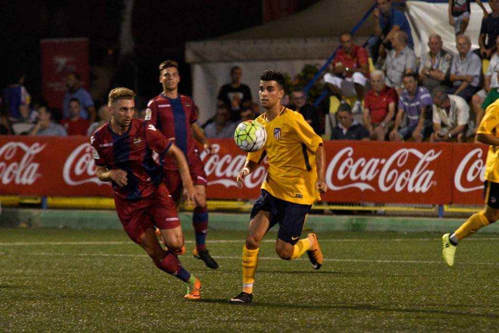 Cotif Alcudia