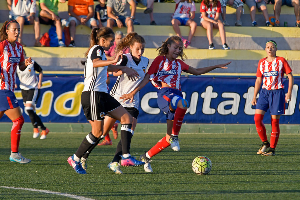 Cotif Alcudia