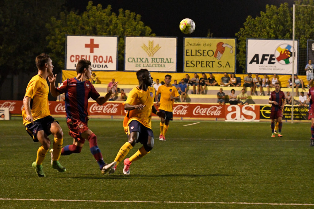Cotif Alcudia