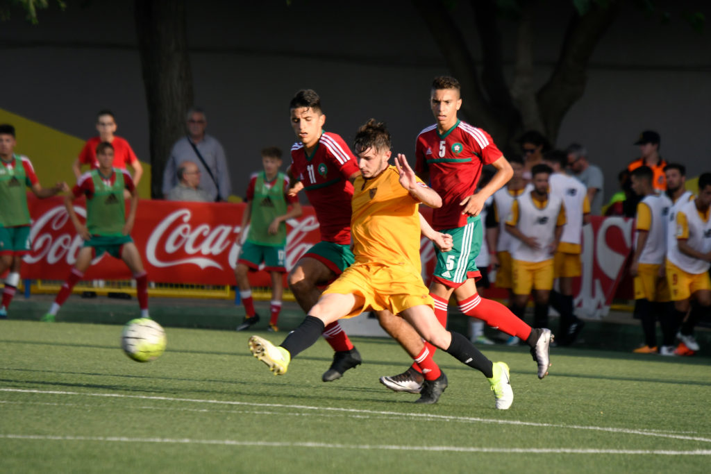 Cotif Alcudia