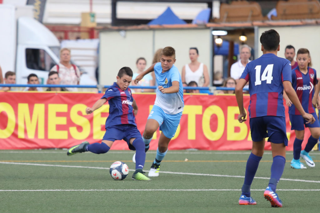 Cotif Alcudia