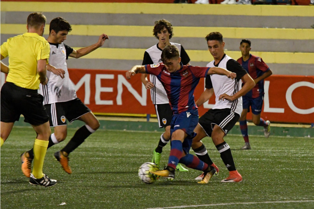 Cotif Alcudia