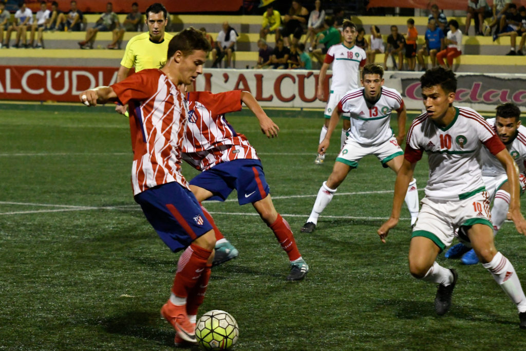 Cotif Alcudia