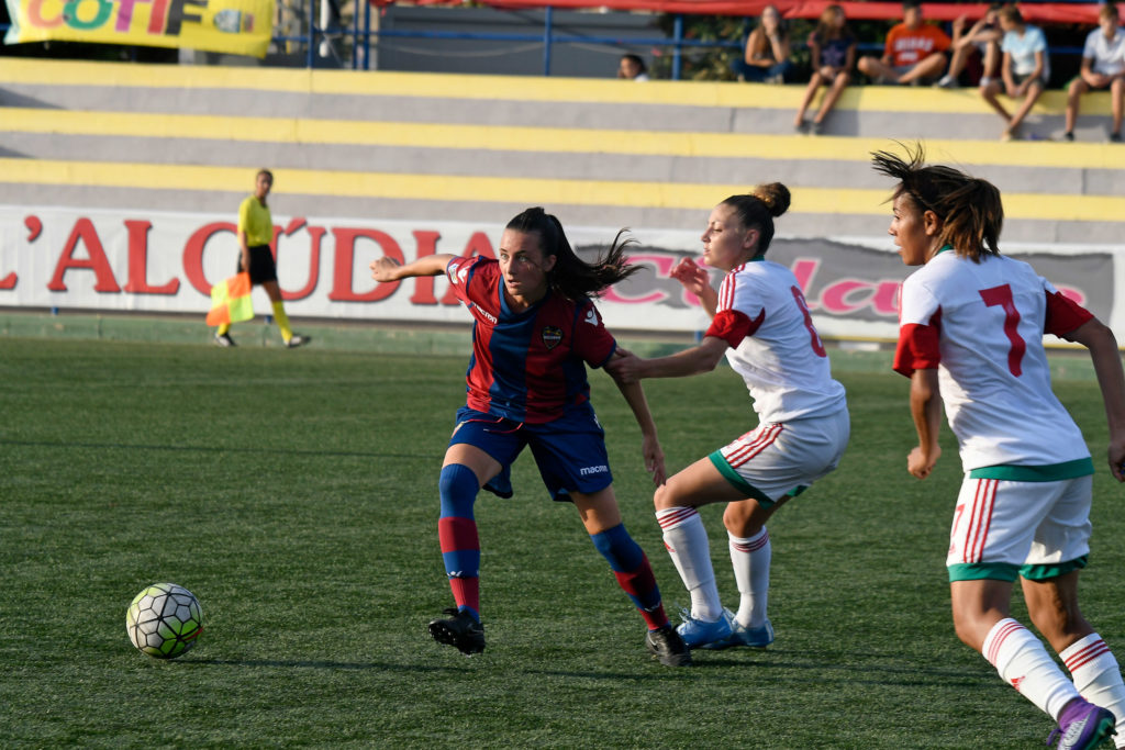 Cotif Alcudia