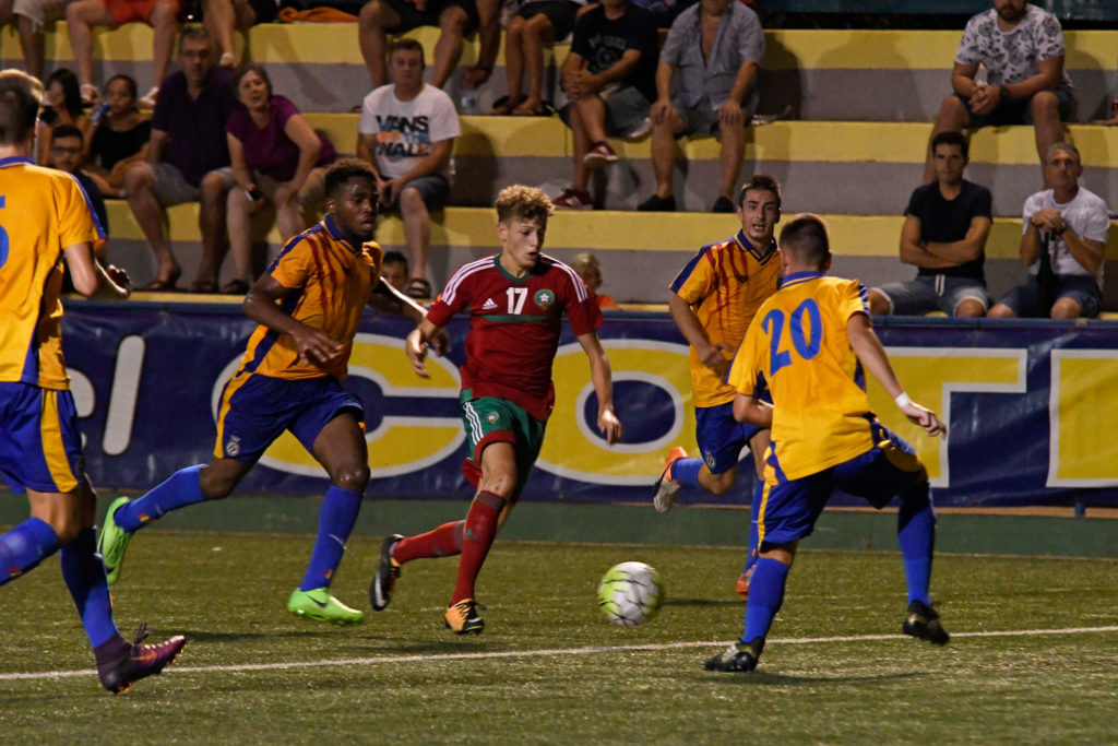 Cotif Alcudia