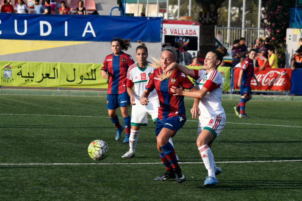 Cotif Alcudia