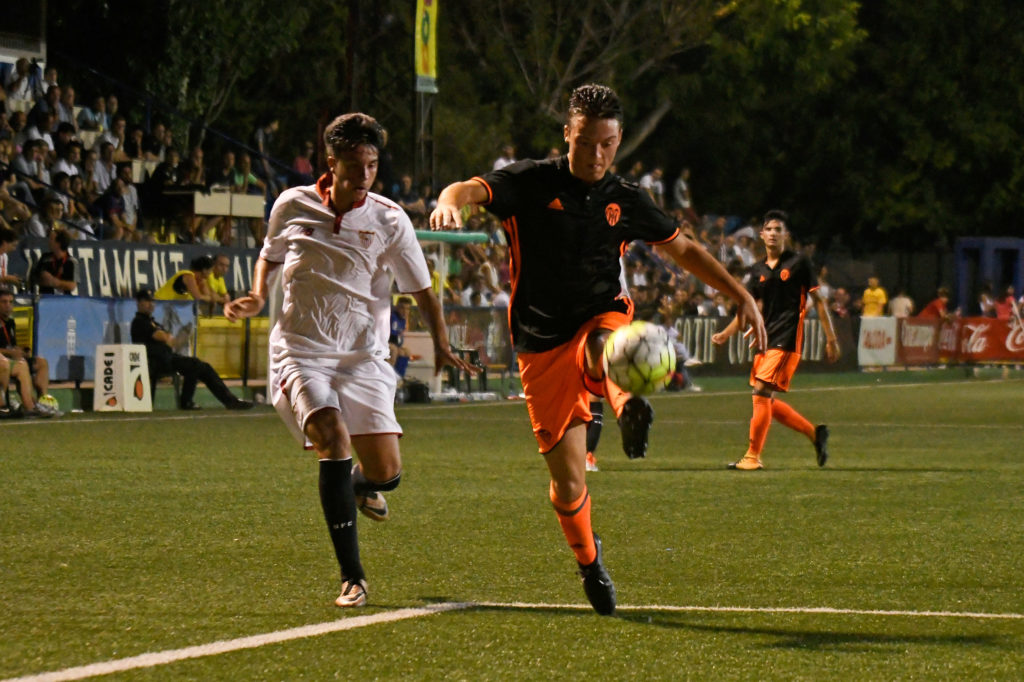 Cotif Alcudia