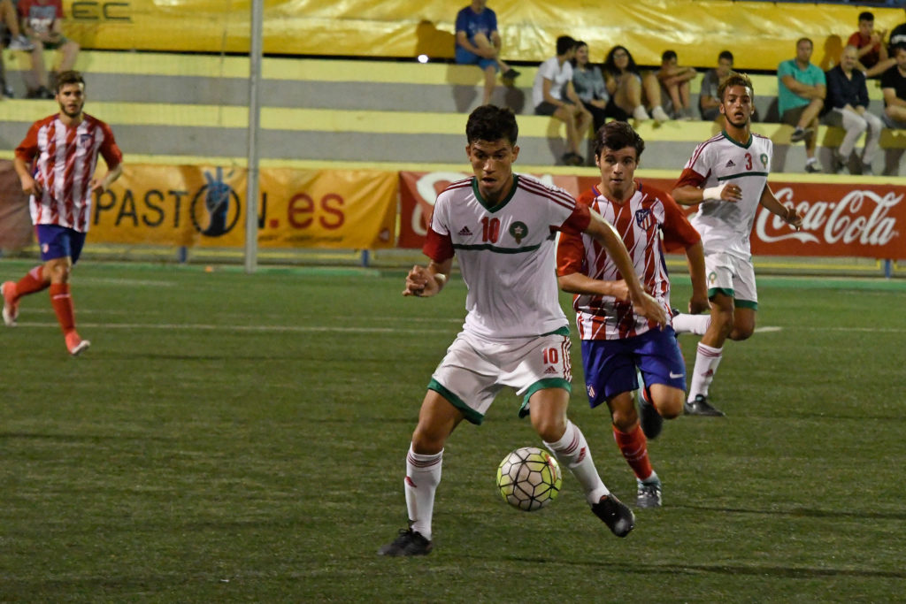 Cotif Alcudia