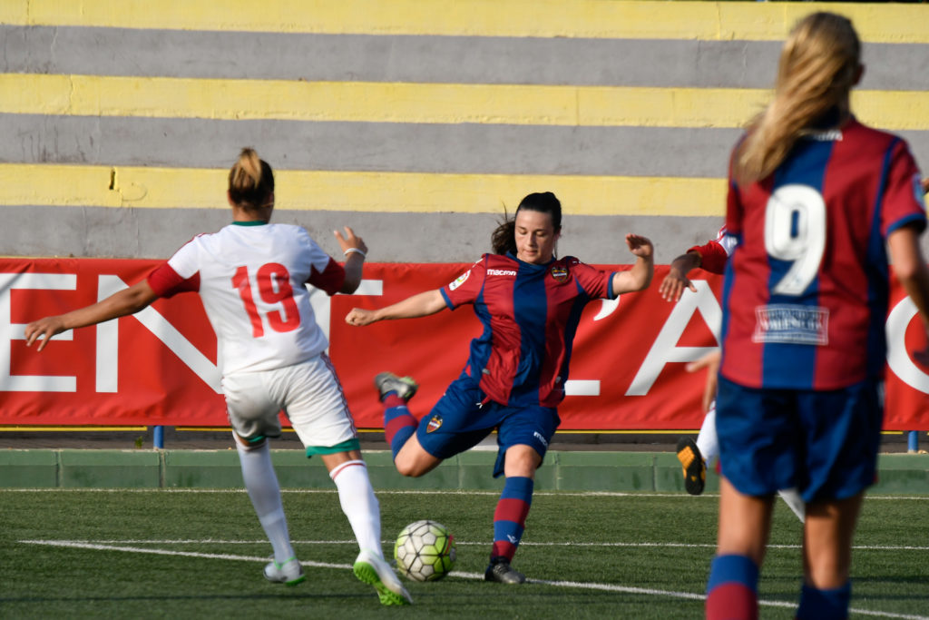 Cotif Alcudia