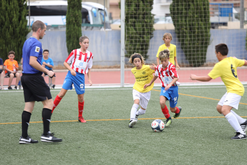 Cotif Alcudia