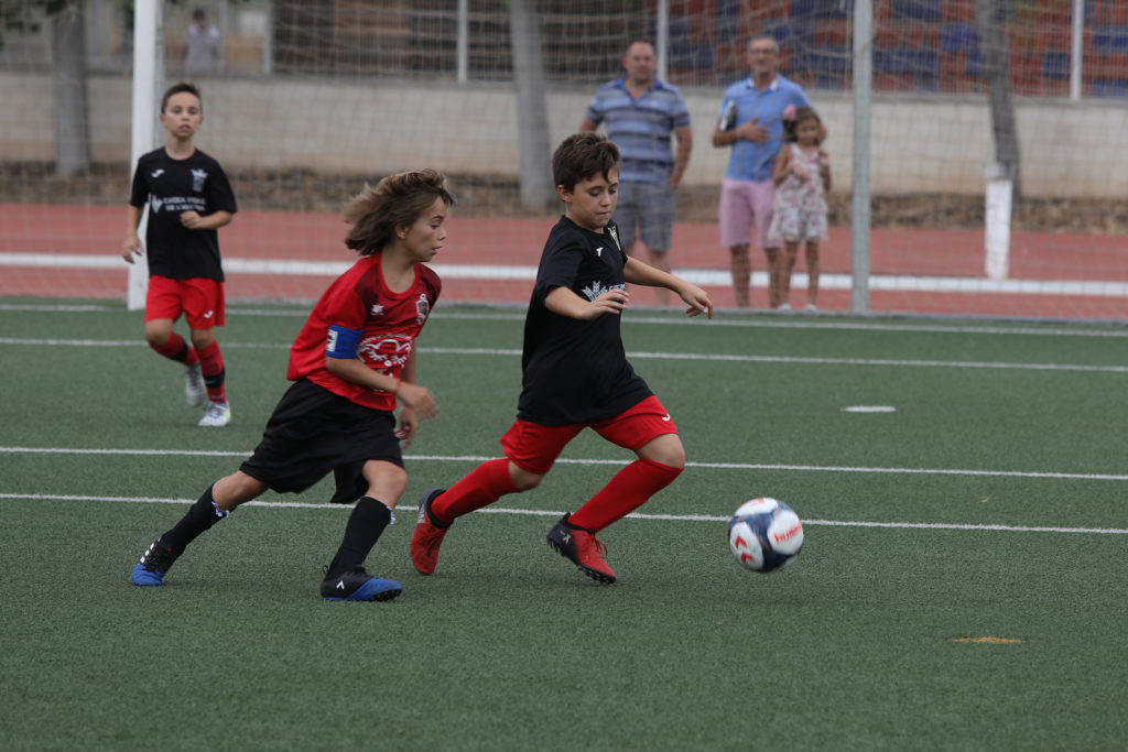 Cotif Alcudia