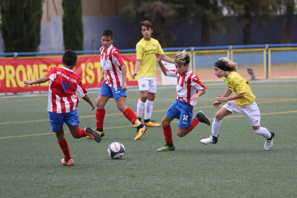 Cotif Alcudia