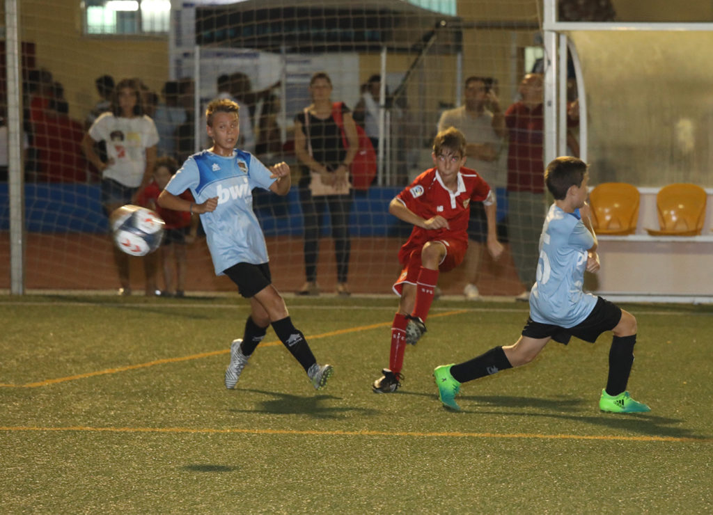 Cotif Alcudia