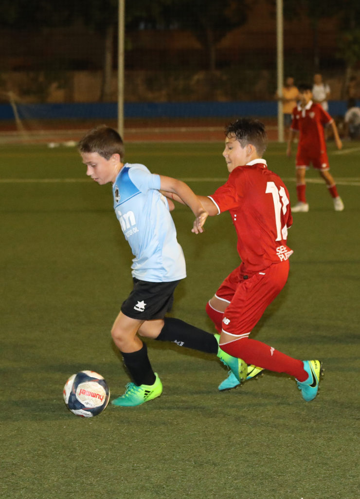 Cotif Alcudia