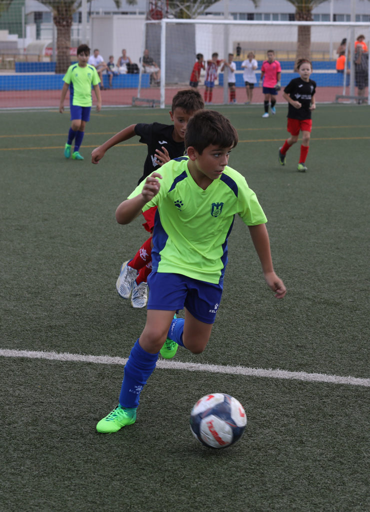 Cotif Alcudia