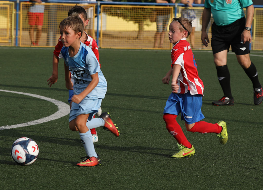 Cotif Alcudia