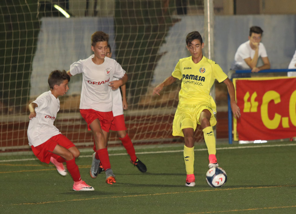 Cotif Alcudia
