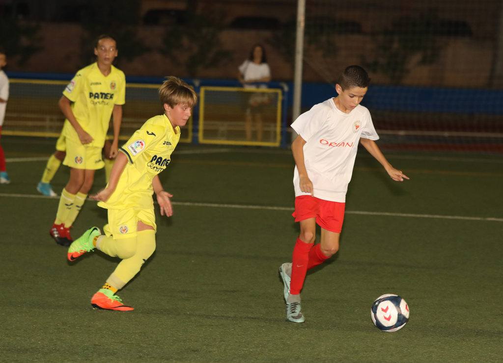 Cotif Alcudia