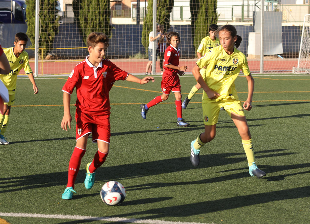 Cotif Alcudia