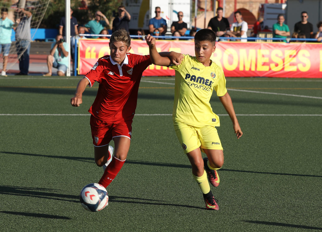 Cotif Alcudia