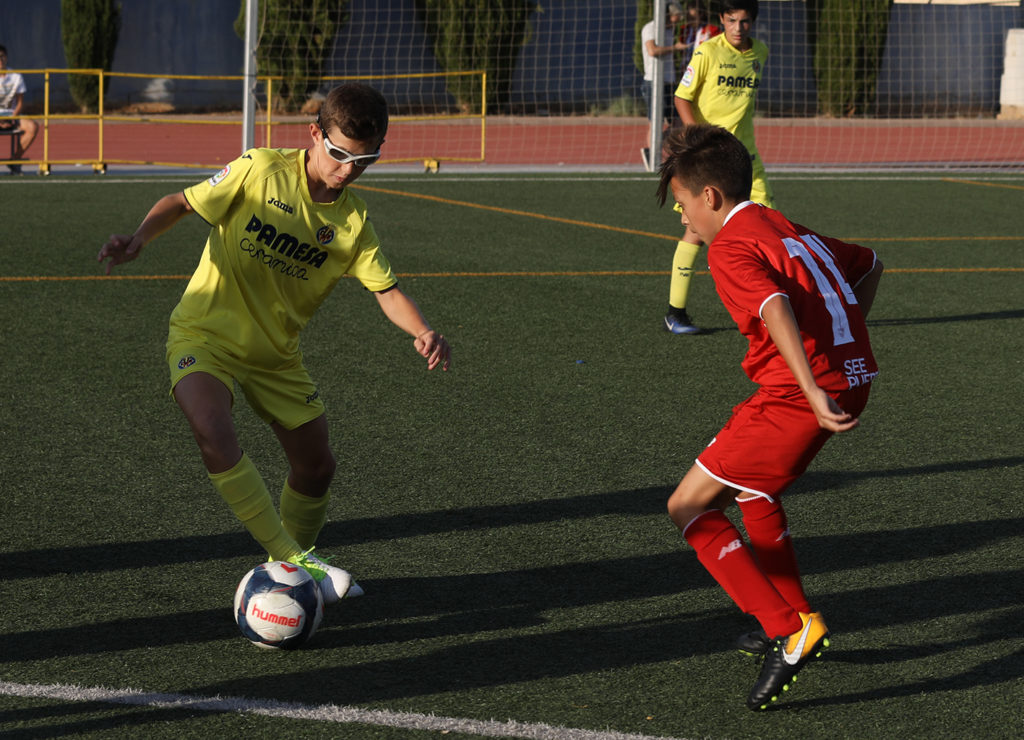 Cotif Alcudia