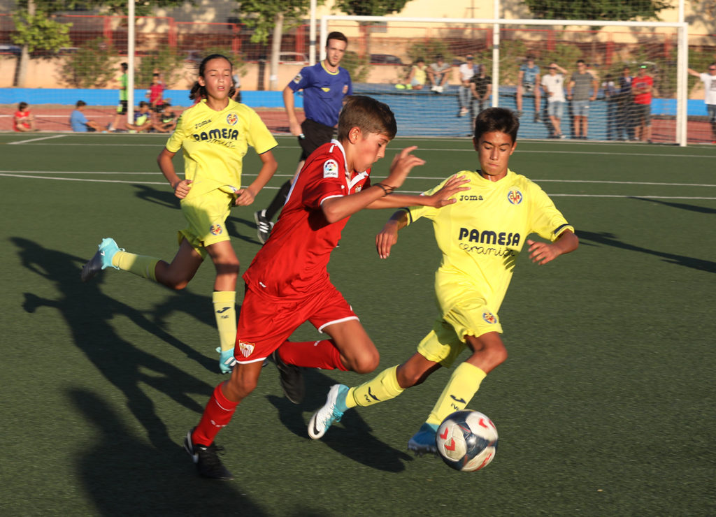 Cotif Alcudia