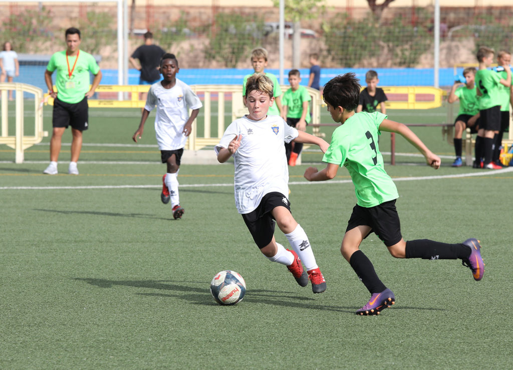 Cotif Alcudia