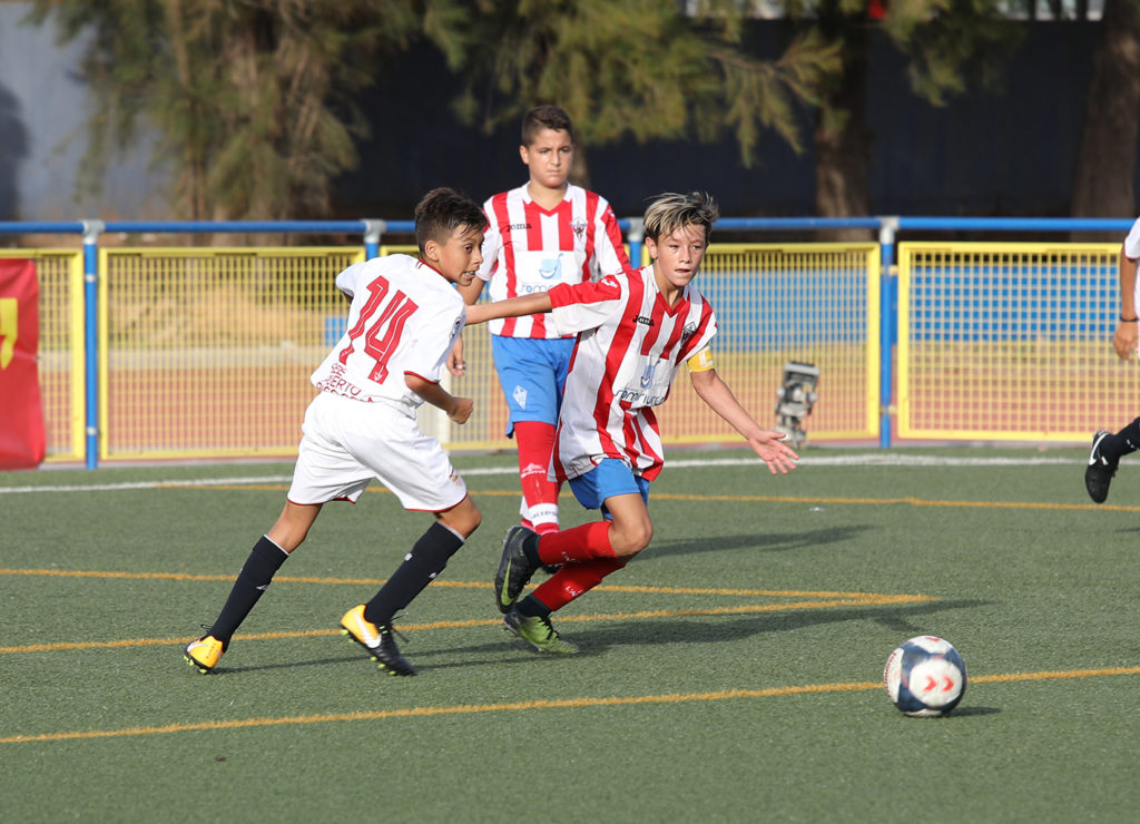 Cotif Alcudia