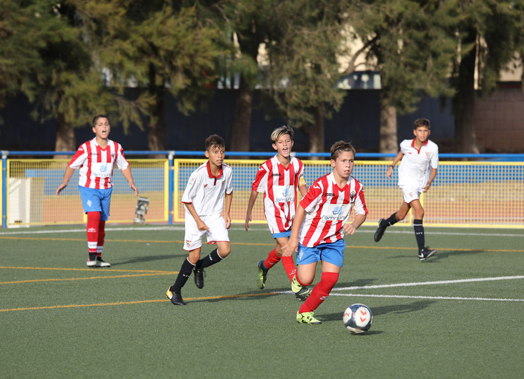 Cotif Alcudia