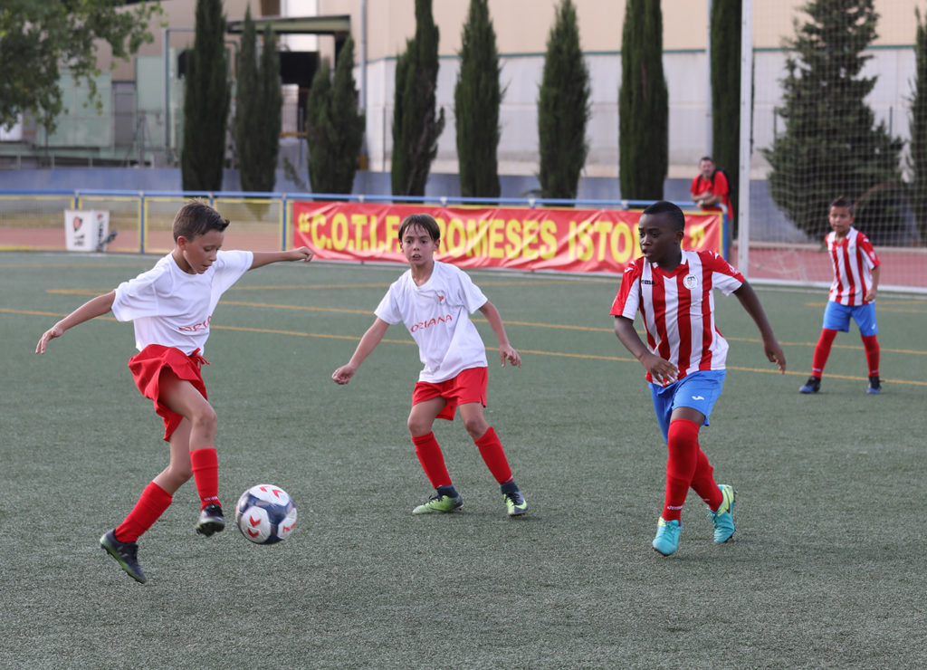 Cotif Alcudia