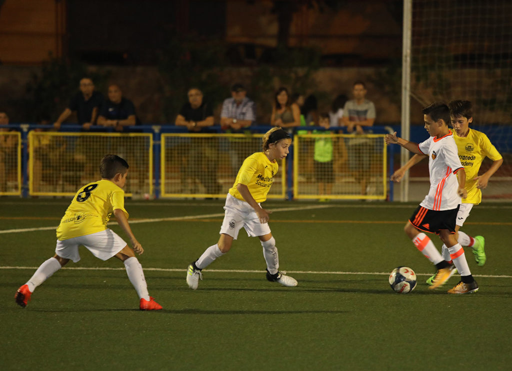 Cotif Alcudia
