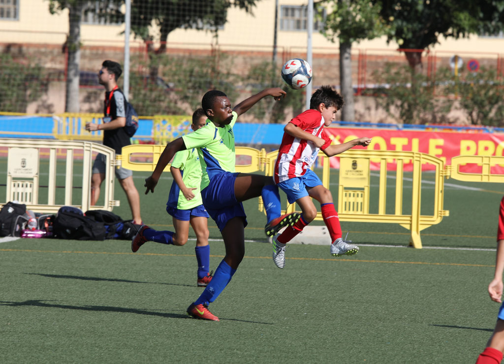 Cotif Alcudia