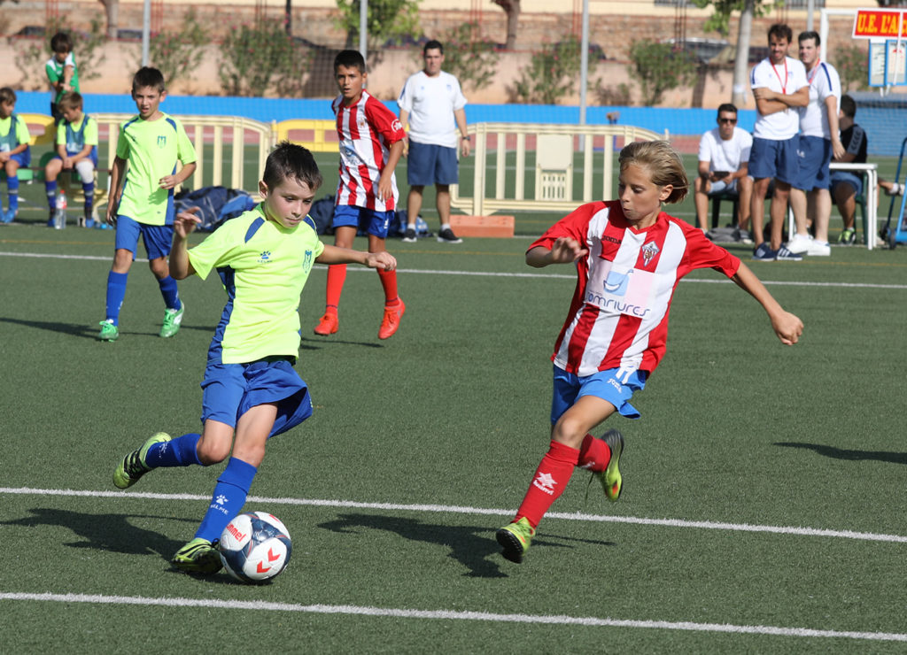 Cotif Alcudia