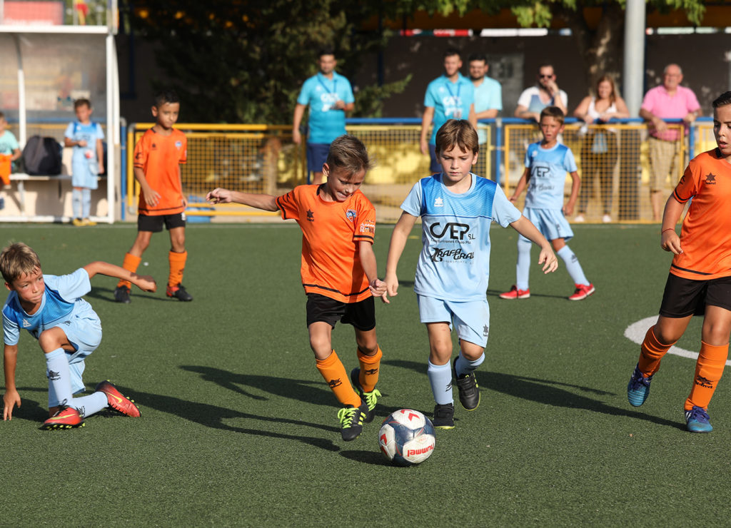 Cotif Alcudia