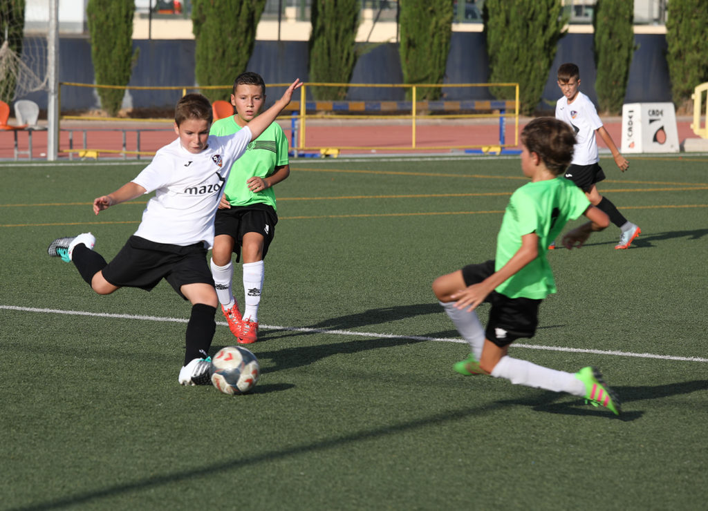 Cotif Alcudia